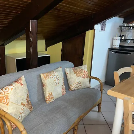 Casa Parco Dora - Intero Monolocale Vicino Al Centro E Allianz Stadium Juventus