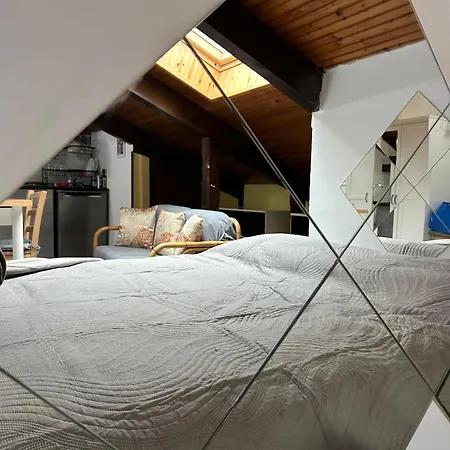 Apartamento Casa Parco Dora - Intero Monolocale Vicino Al Centro E Allianz Stadium Juventus *