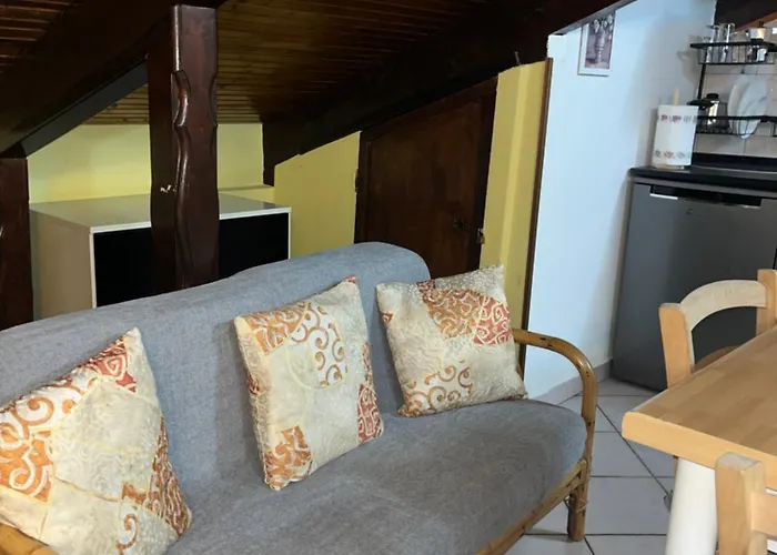 Casa Parco Dora - Intero Monolocale Vicino Al Centro E Allianz Stadium Juventus