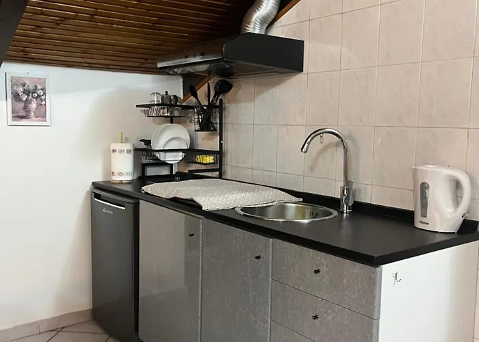 アパート Casa Parco Dora - Intero Monolocale Vicino Al Centro E Allianz Stadium Juventus トリノ