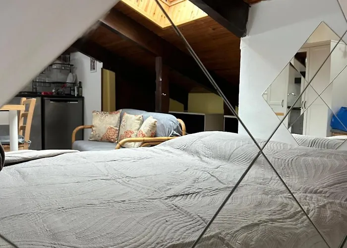 Apartman Casa Parco Dora - Intero Monolocale Vicino Al Centro E Allianz Stadium Juventus *