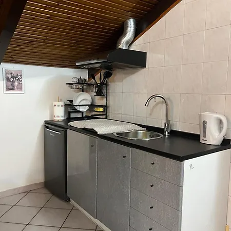 公寓 Casa Parco Dora - Intero Monolocale Vicino Al Centro E Allianz Stadium Juventus 都灵