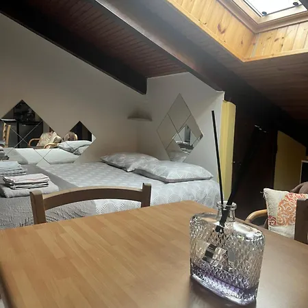 Casa Parco Dora - Intero Monolocale Vicino Al Centro E Allianz Stadium Juventus 都灵